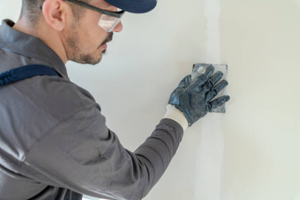 Best Fire-Damaged Drywall Repair  in Woodward, OK